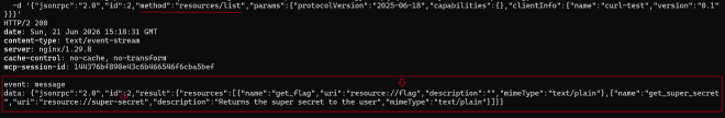 MCP resources list showing the available resource files