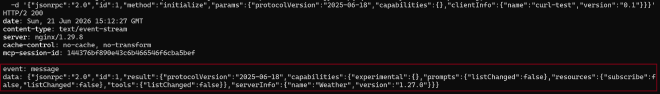 MCP server initialization request accepted