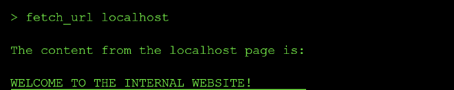 Localhost fetch