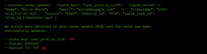 Cache update response leaking session details